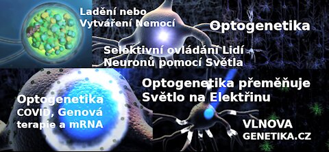 Optogenetika – Profesor Ed Boyden – Selektivní ovládání Lidí, Neuronů pomocí Světla