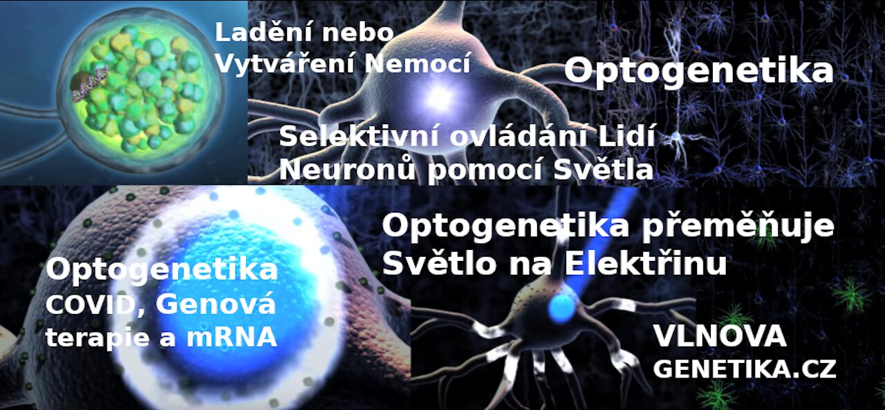 Optogenetika – Profesor Ed Boyden – Selektivní ovládání Lidí, Neuronů pomocí Světla