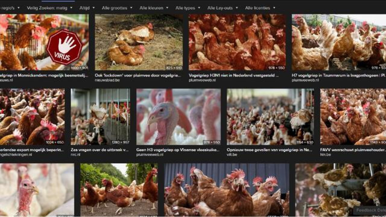 Worldwide | Bird Flu is also a Bio-Weapon
