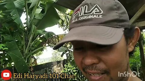 Seperti ini di ruma saya