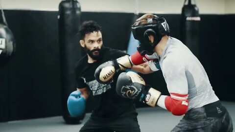New England Cartel - UFC Collab