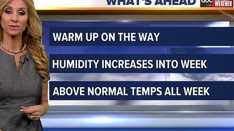 Action Weather Forecast