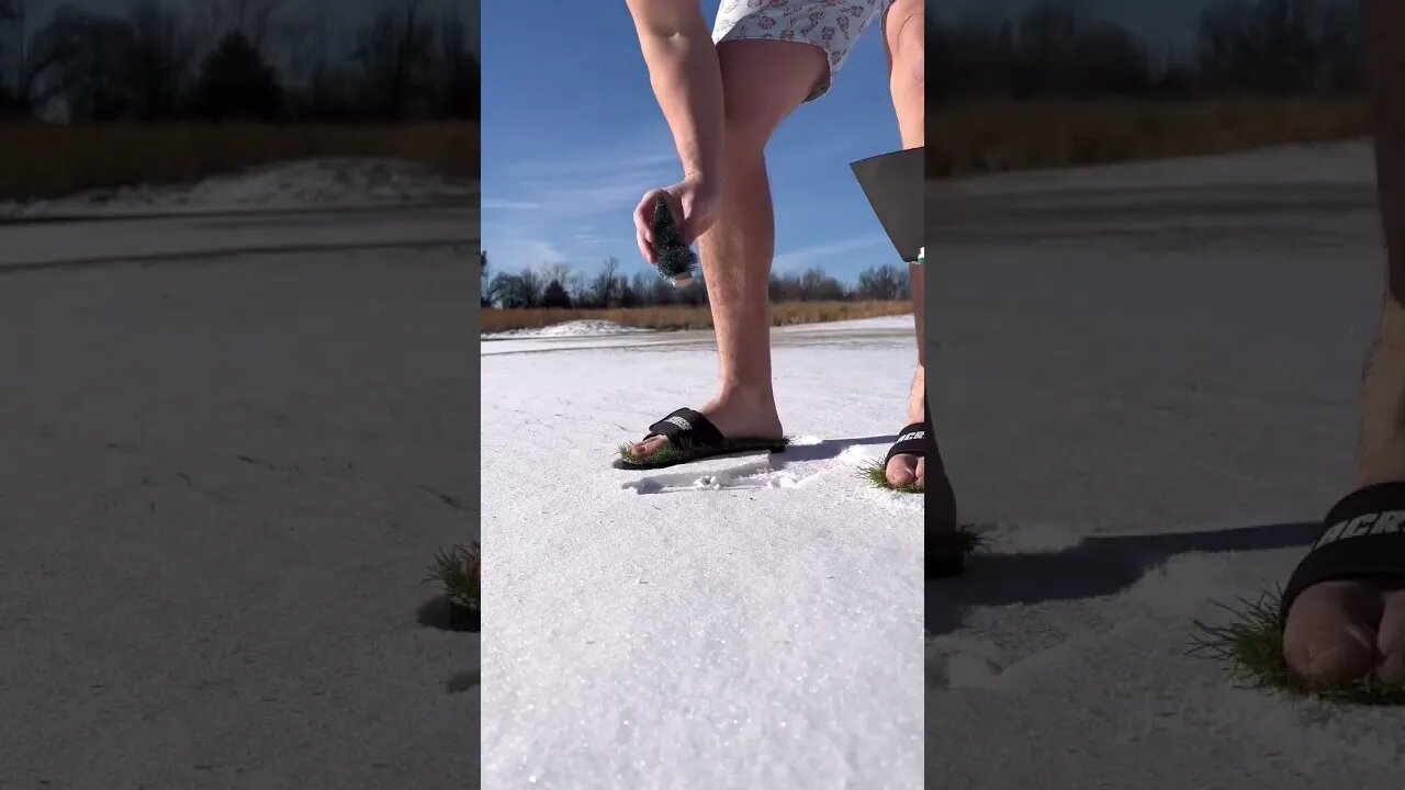 Merry Christmas from The Lawn Tools