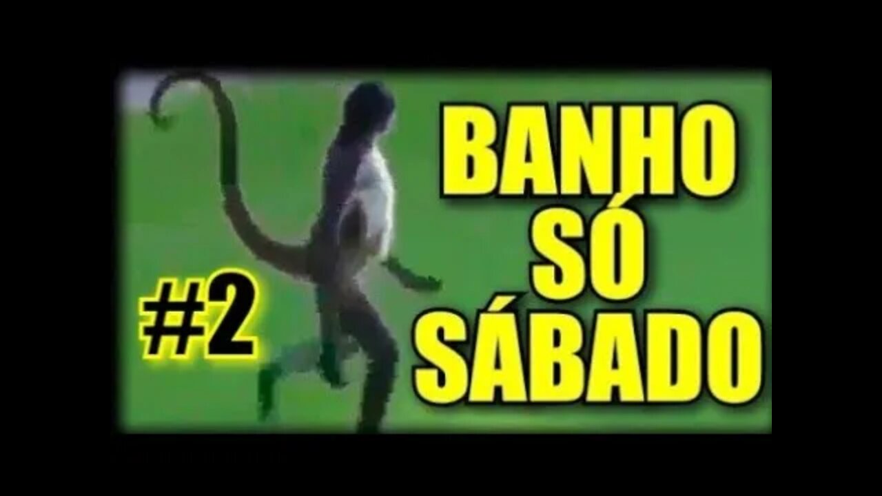 ▶🐒MACAQUINHO MADLIPZ E O DEIZANO NÃO QUEREM SABER DE BANHO NESSE FRIO #2 - JN SILVA