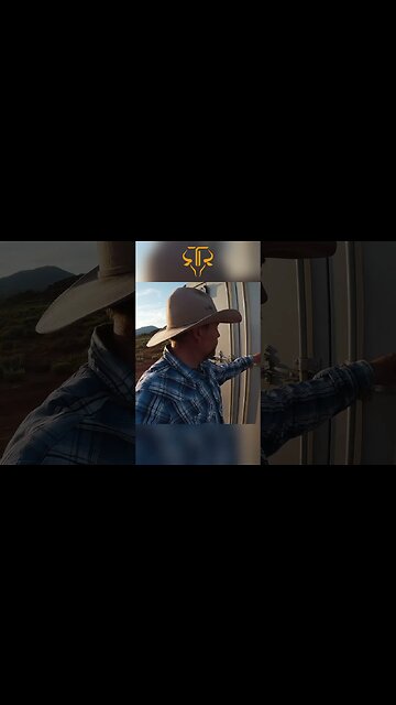 Do Horses Lay Down!🐴🤔