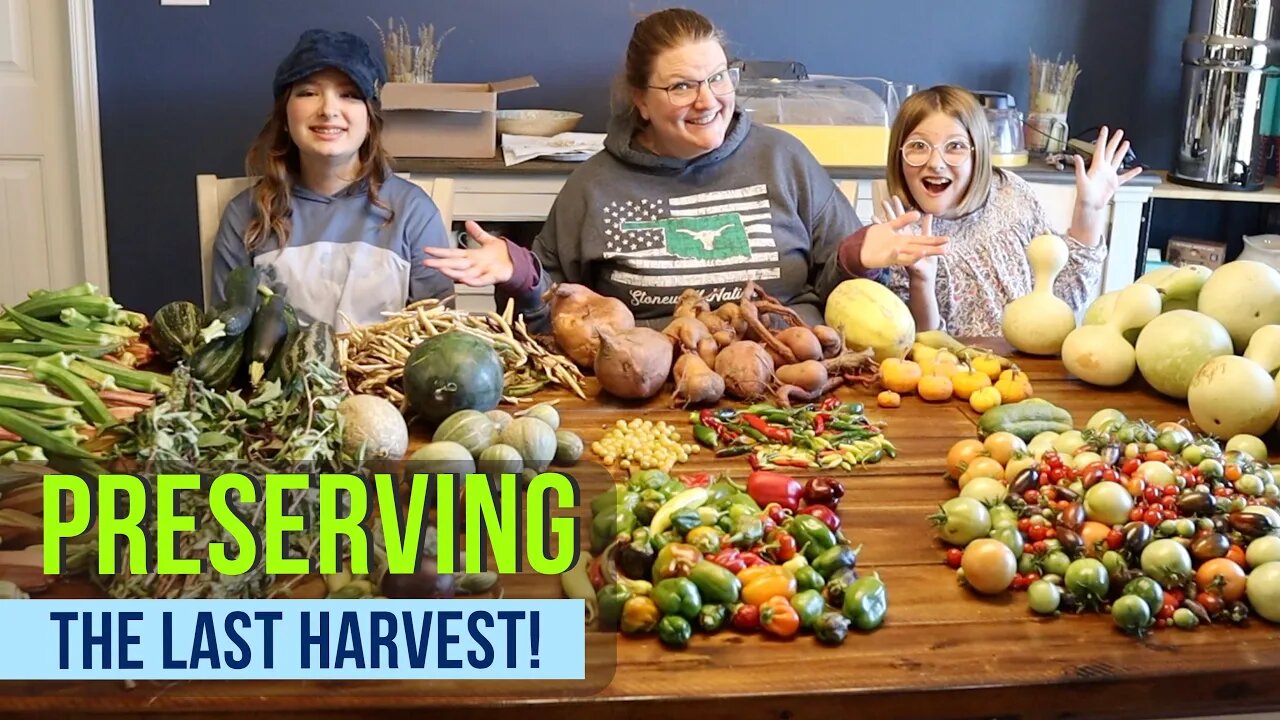 Massive Garden Harvest Before the Freeze!