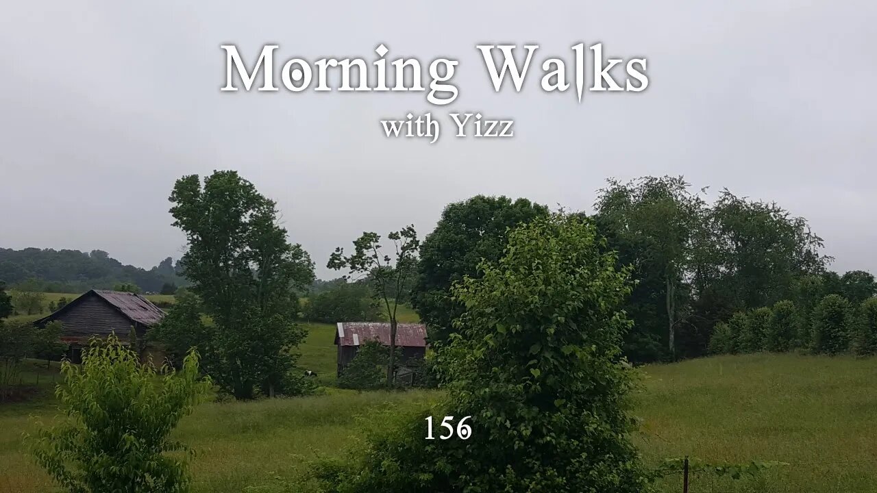 Morning Walks with Yizz 156