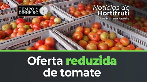 Oferta reduzida de tomate. Alta para a banana nanica.