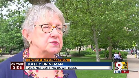 Resident fights corporate giant to save trees at Lytle Park