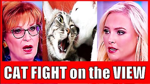 CAT FIGHT on the VIEW between Joy Behar & Meghan McCain: "I DID NOT MISS YOU...THAT'S SO RUDE!"