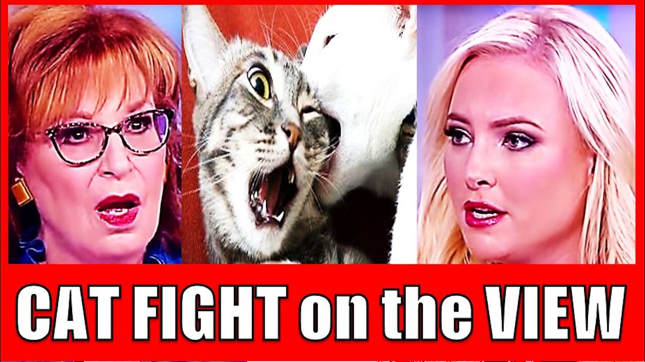 CAT FIGHT on the VIEW between Joy Behar & Meghan McCain: "I DID NOT MISS YOU...THAT'S SO RUDE!"