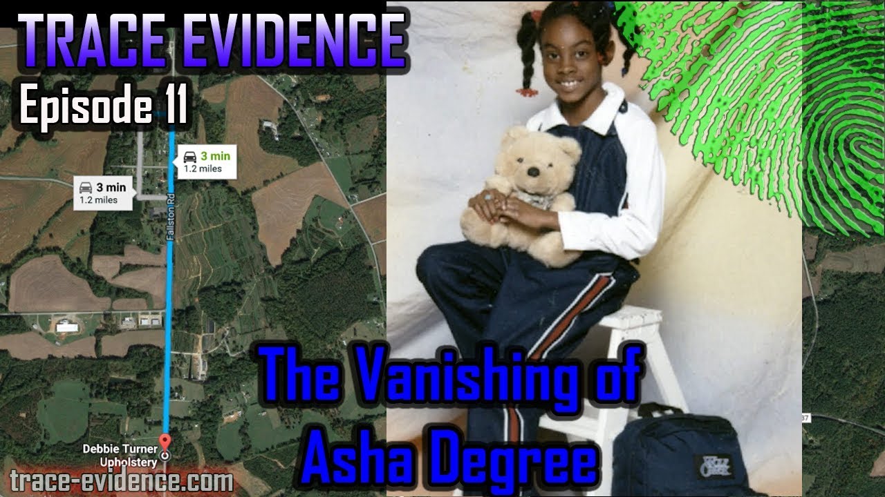 011 - The Vanishing of Asha Degree