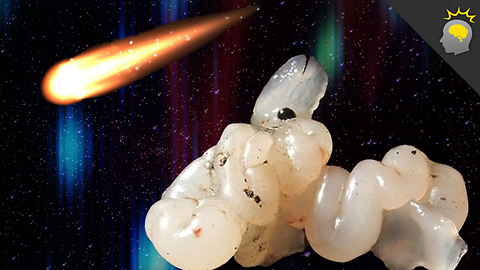 Stuff to Blow Your Mind: Epic Science: No Star Jelly For You