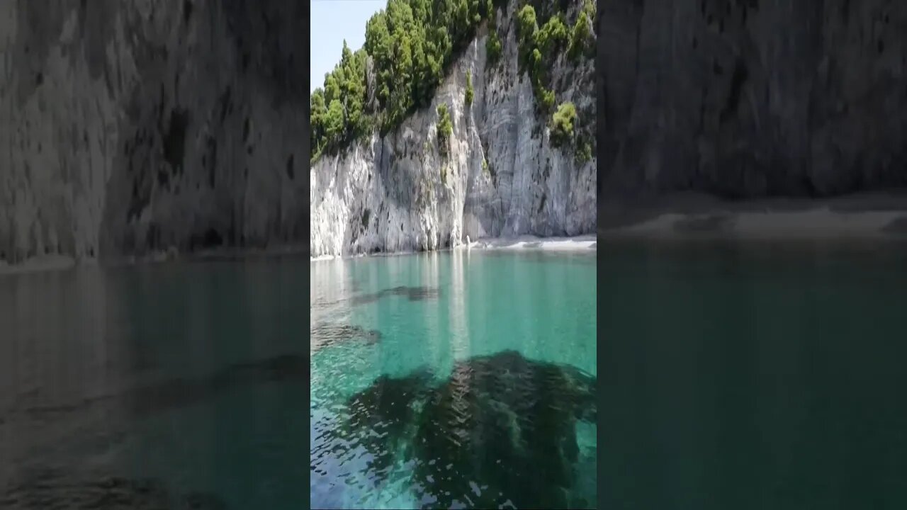 RANDOM FACTS! For The Curious Mind Vid #4 #Shorts #Facts