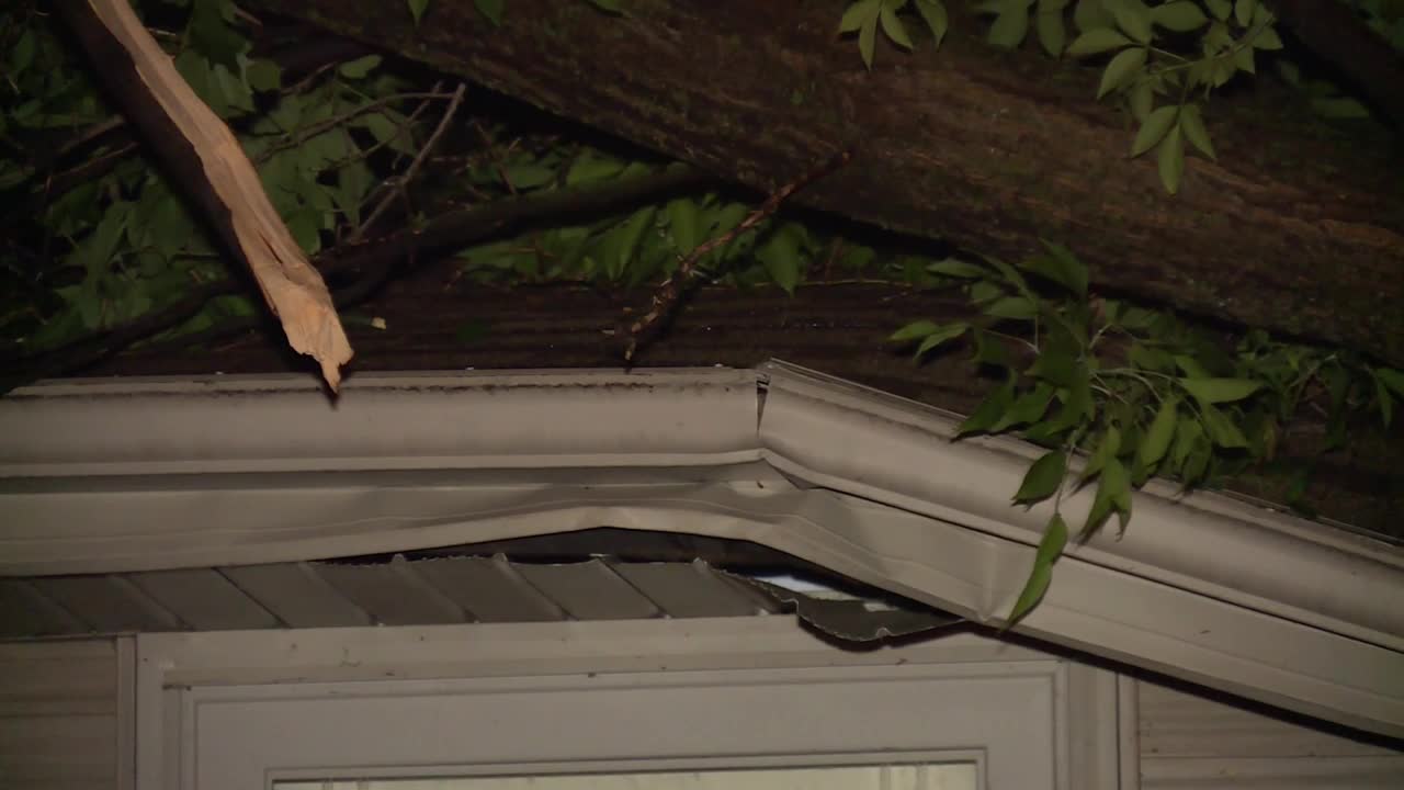 Tree falls on home in Fond du Lac after storms