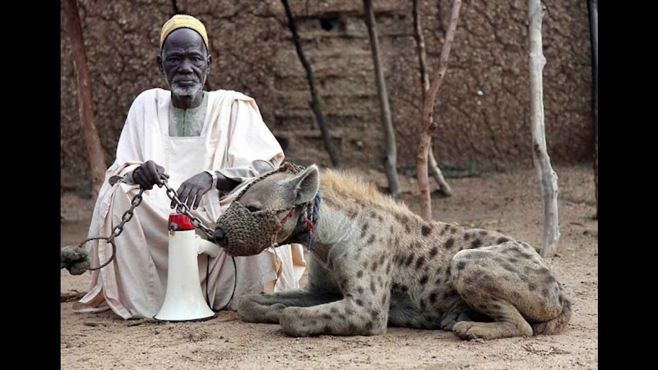 The Hyena Men -Nigeria