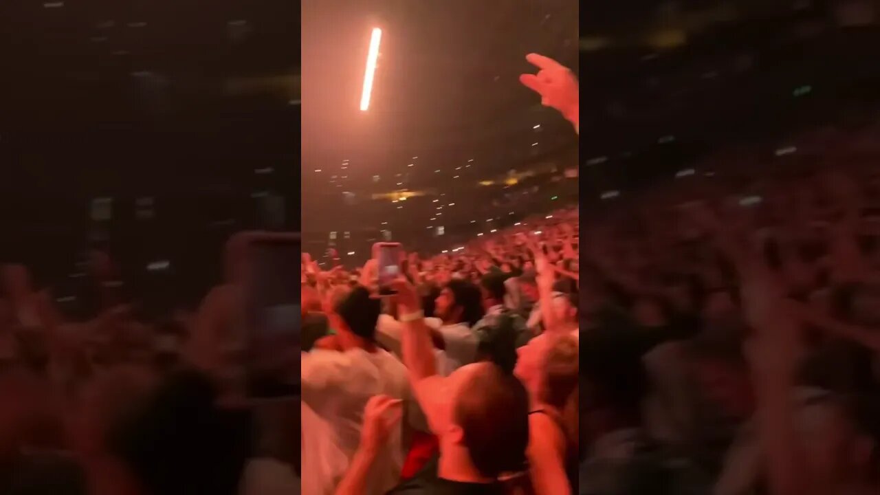 Crowd Going Crazy For Kendrick Lamar #music #concert #live #fyp #kendricklamar