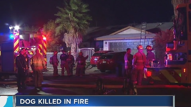 Dog dead in early morning house fire