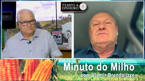 Milho com fôlego positivo