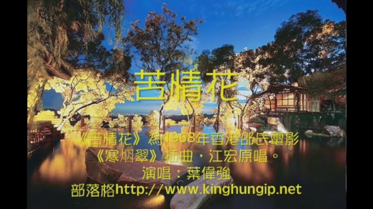 《葉偉強》 苦情花