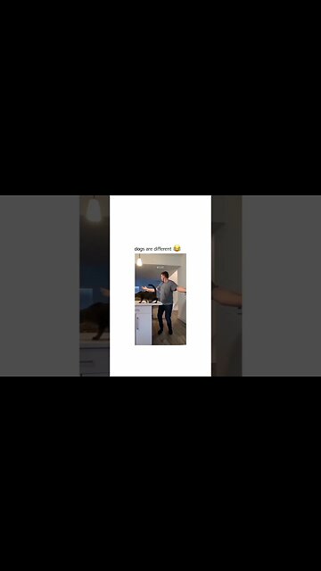 onilthegreat #shorts