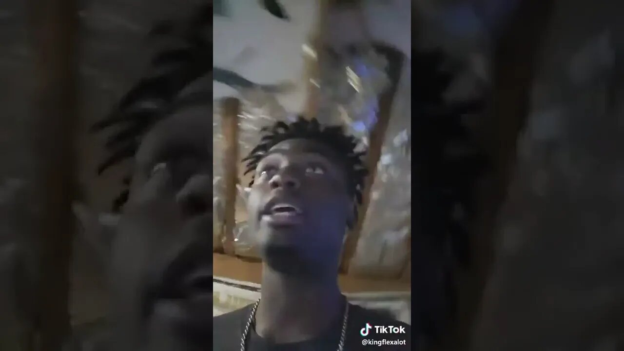 Random Funny TikTok