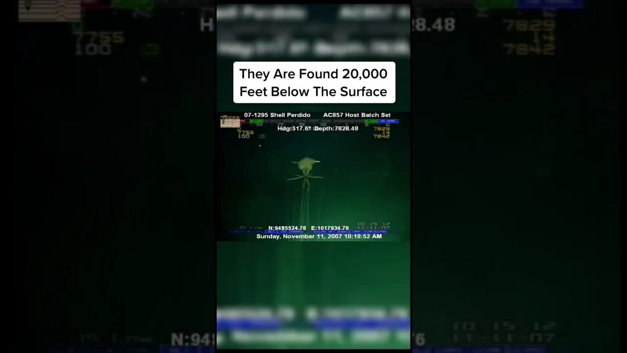 The Strangest Sightings From The Ocean #shorts