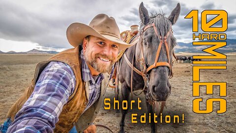 10 Miles with Fighting Cows - SHORT VERSION