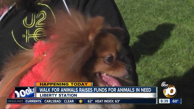 Thousands walk for animals at Liberty Station