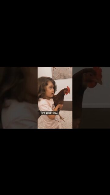 There’s a chicken in my house