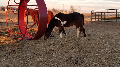 Mystery of the traveling hay ring