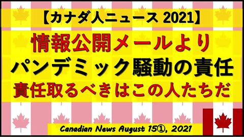 情報公開メールより パンデミック騒動の責任を取るべき人たち