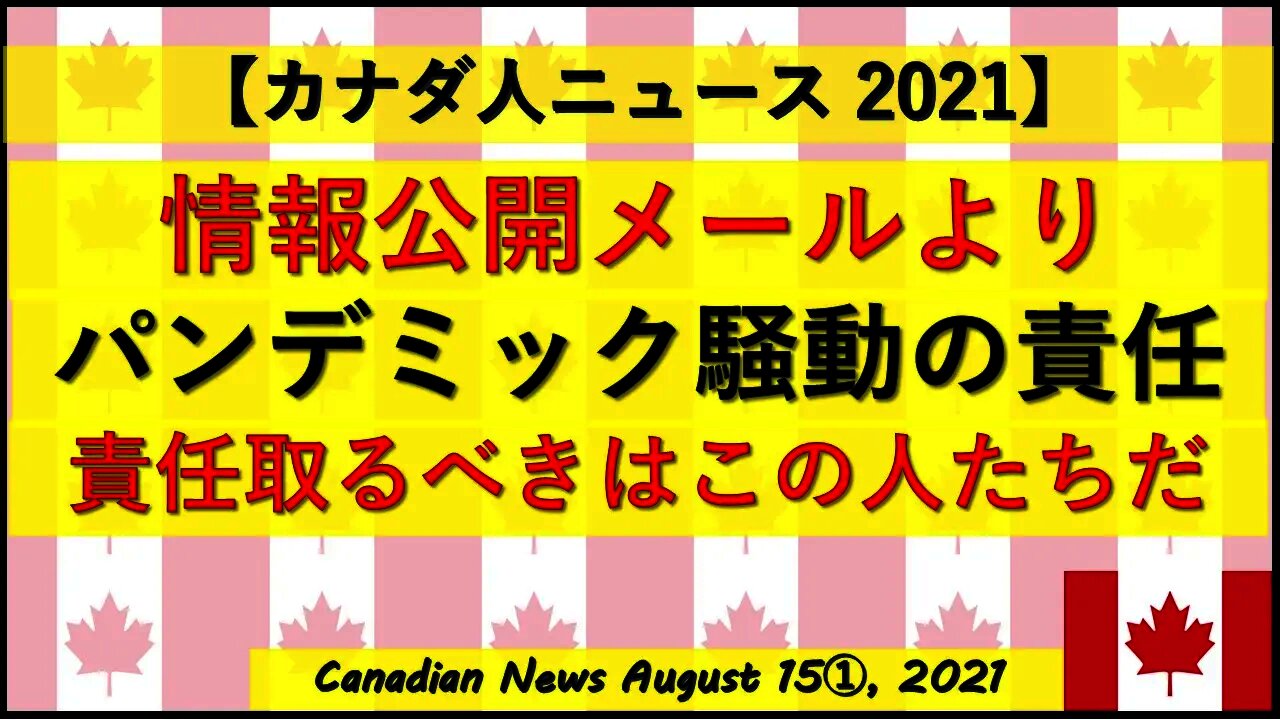 情報公開メールより パンデミック騒動の責任を取るべき人たち