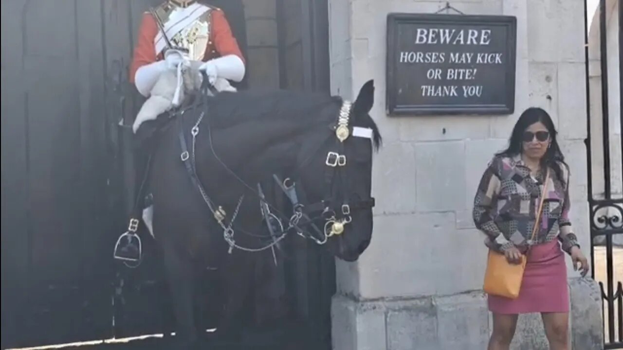 Tourist thinks twice about stand next to the horse (arnie)