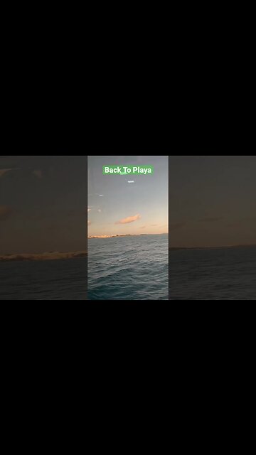 Sailing Back To Playa Del Carmen #shorts