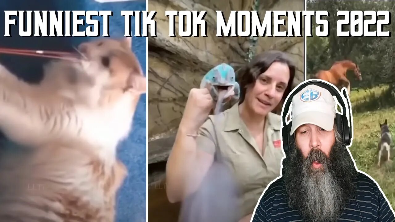 Reacting to Funny TikTok Moments