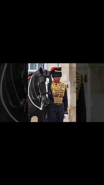 Dismount the horse #horseguardsparade