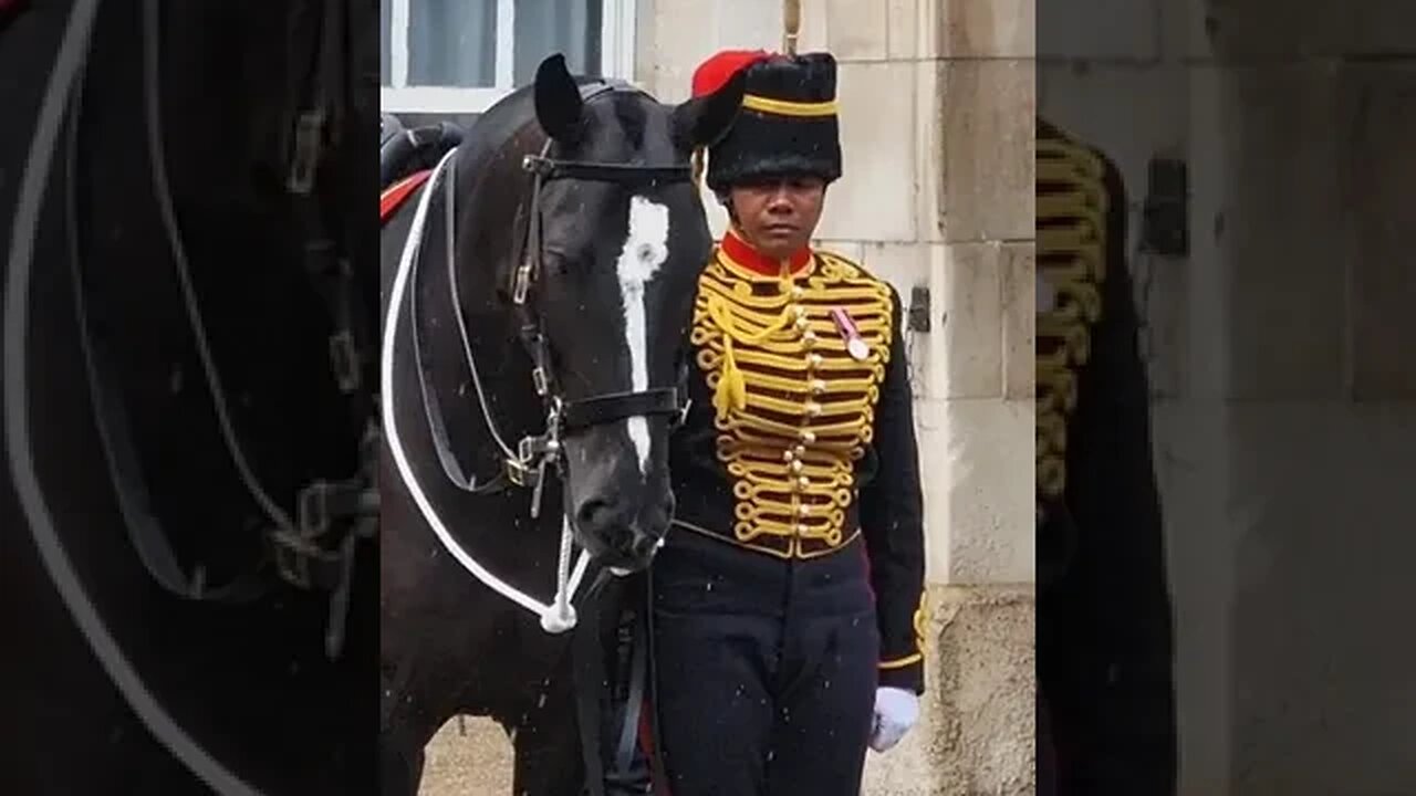 Dismount the horse #horseguardsparade