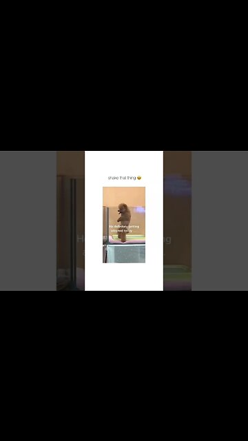 onilthegreat #shorts