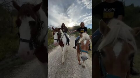 Pony Kisses the Camera