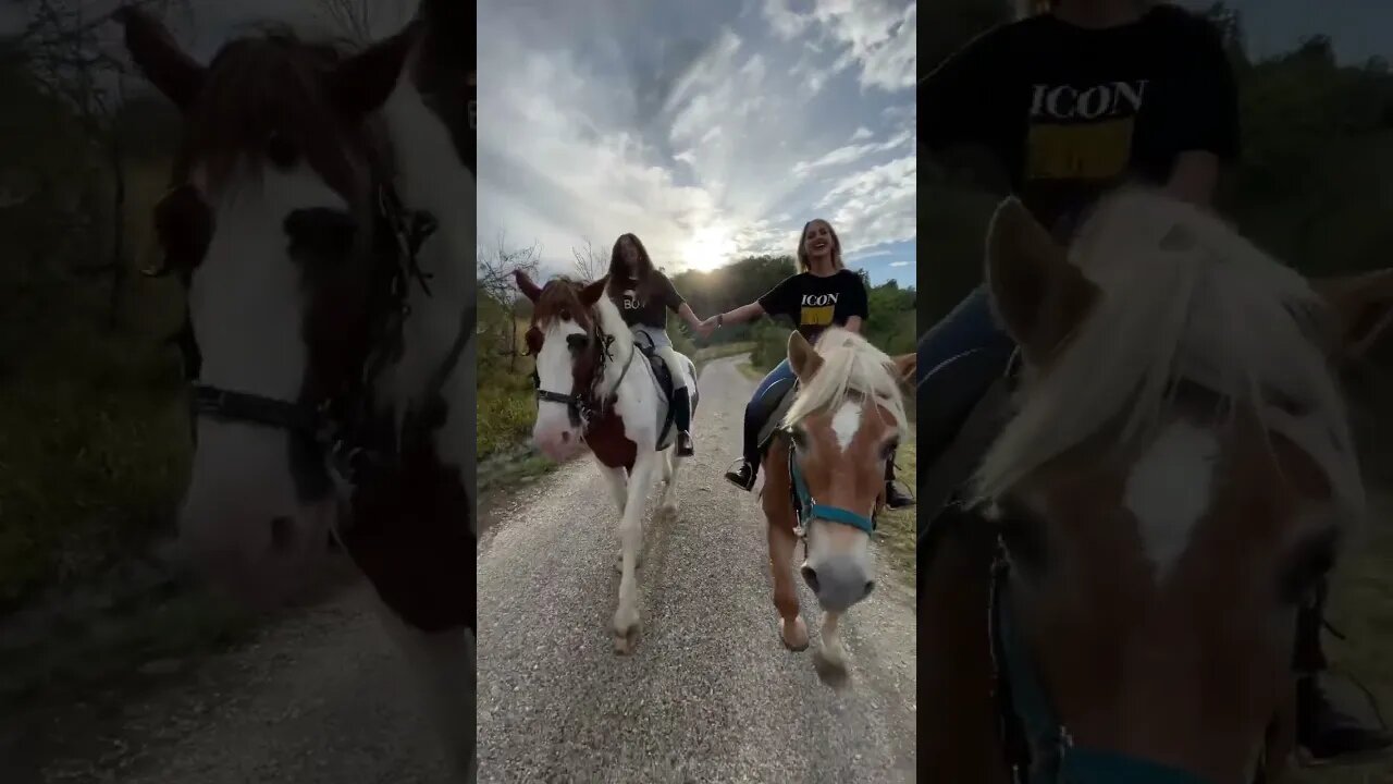 Pony Kisses the Camera