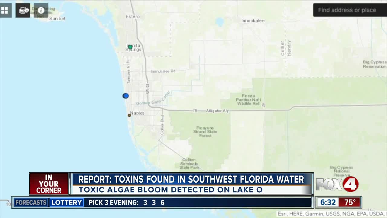 Toxic algae bloom discovered in Collier County