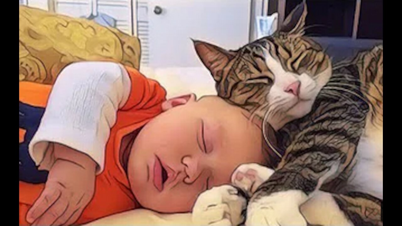 CAT AND BABIES FUNNY VIDEOS