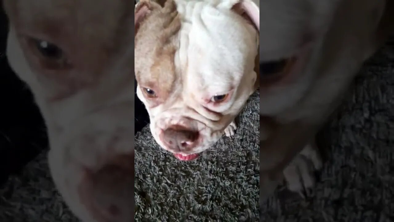 winnie en Famke play inhome