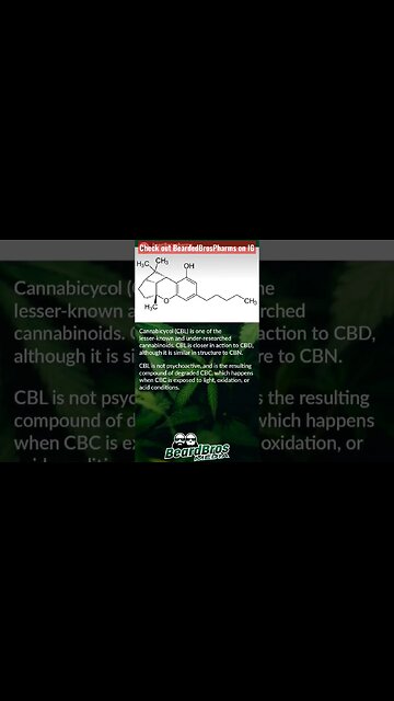 What is CBL? (CANNABICYCOL) #shorts
