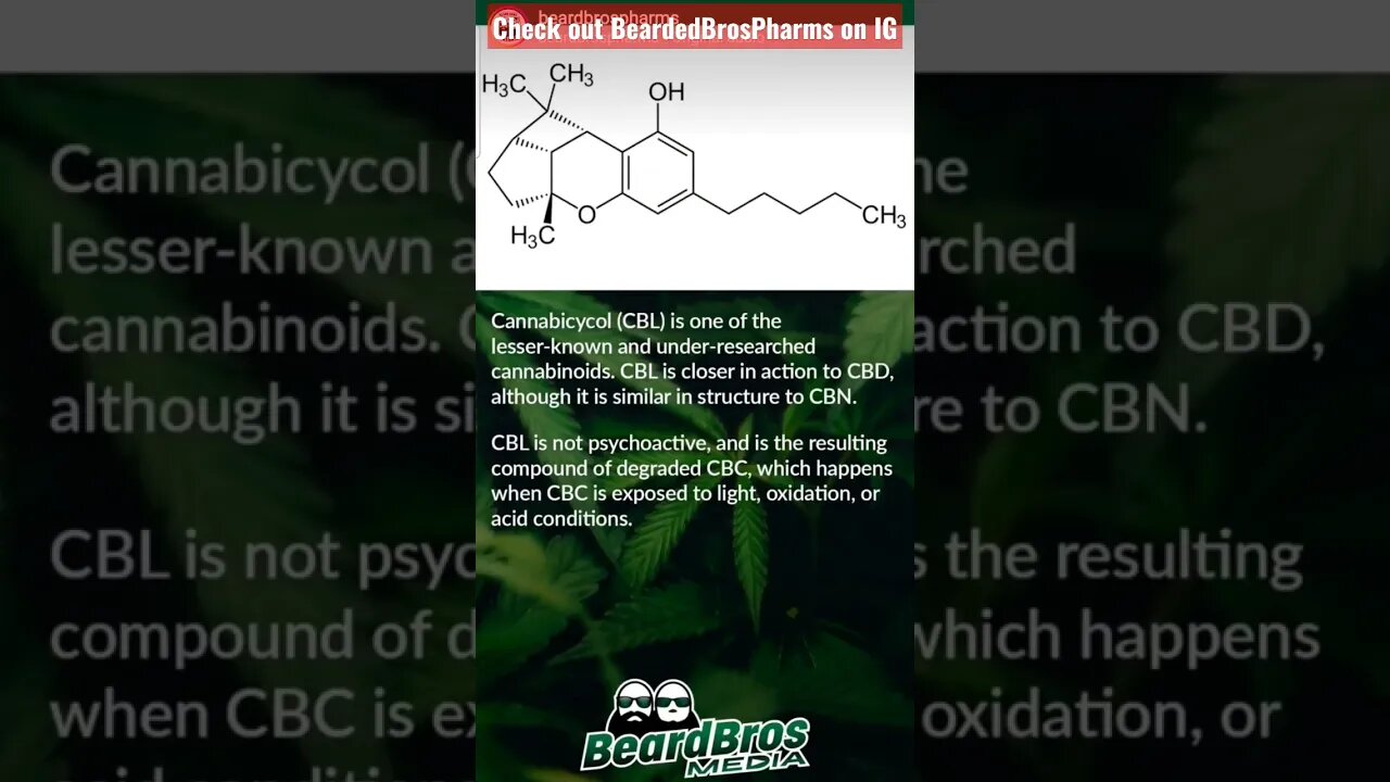 What is CBL? (CANNABICYCOL) #shorts