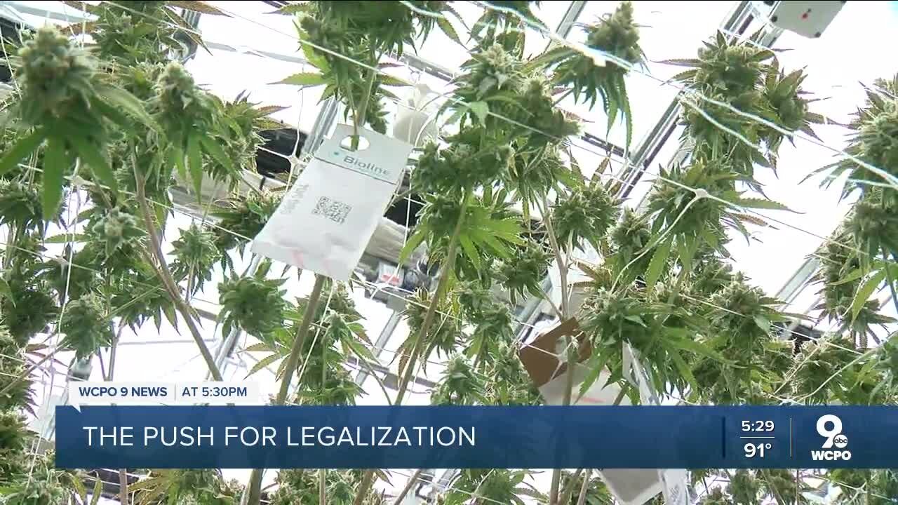 Recreational marijuana legalization could be back on the table for Ohio