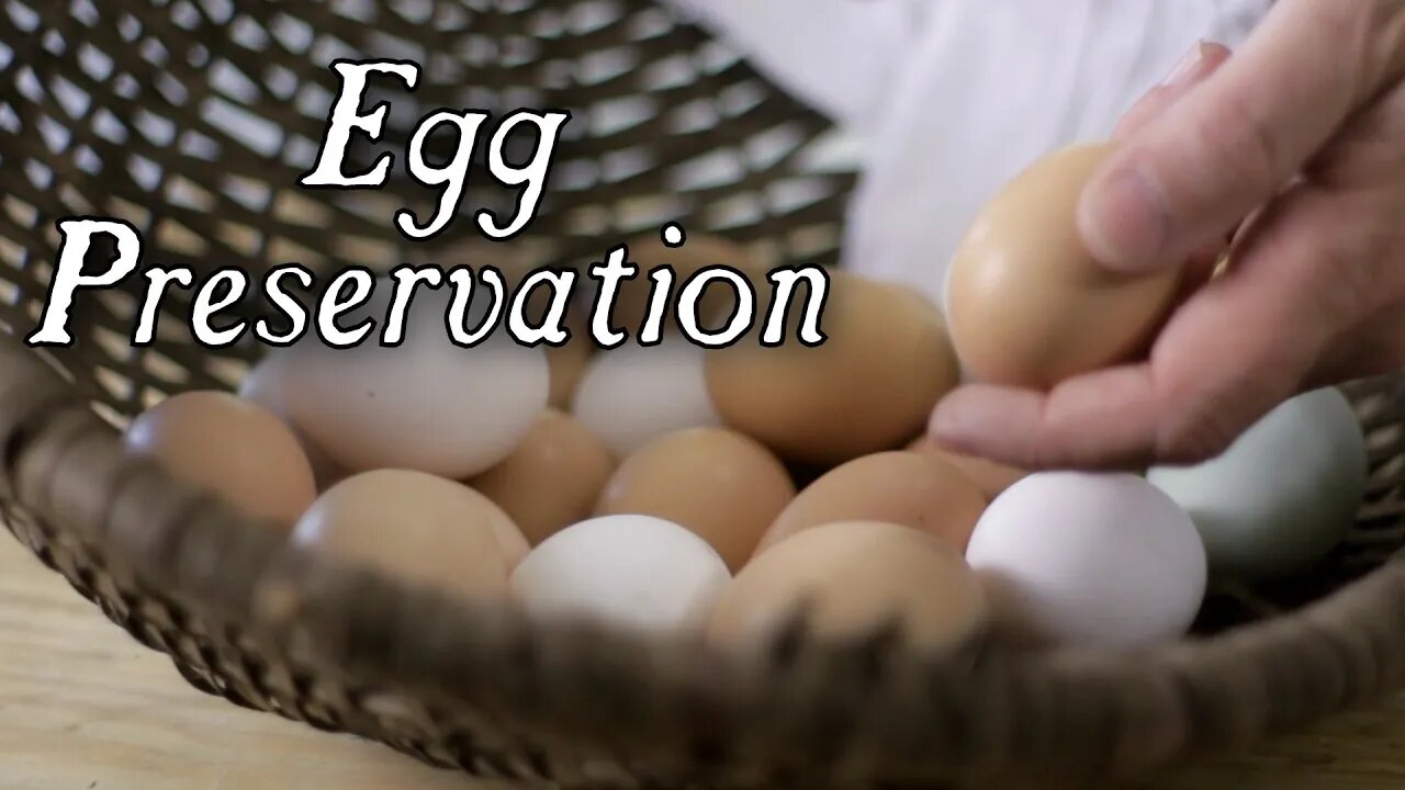 The Top 6 Historical Egg Preservation Techniques!