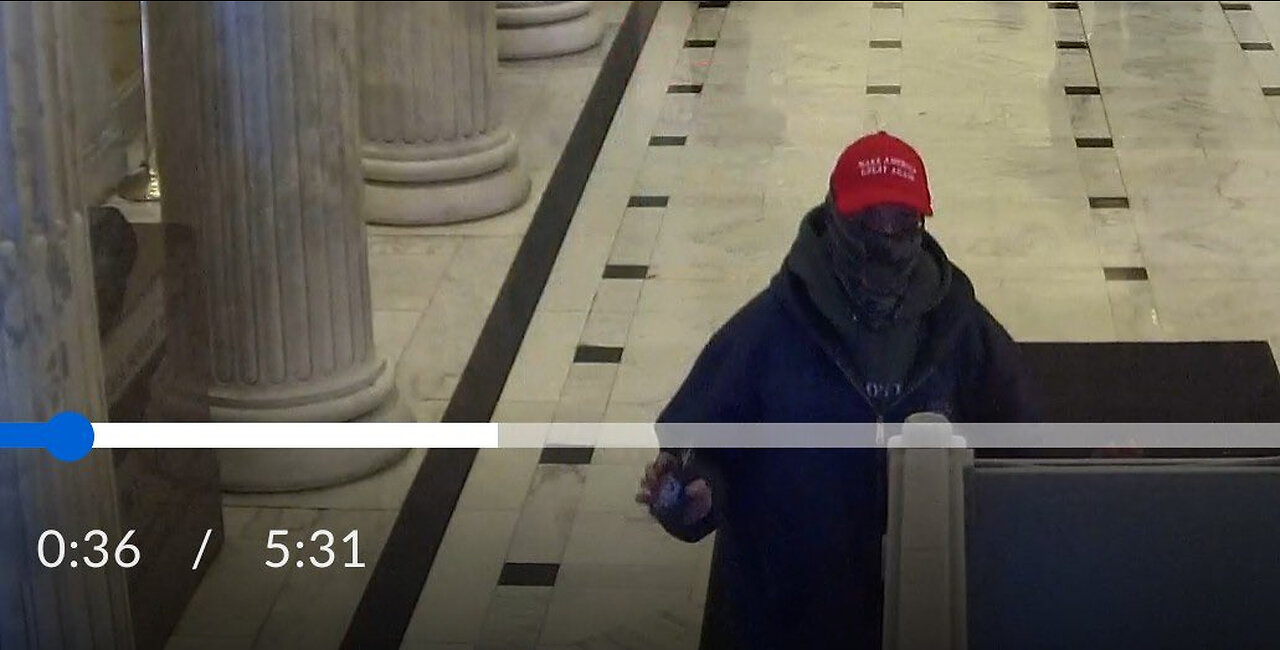 Trump supporter flashes a badge to get in ?? Other uncuffed INSIDE capitol ??