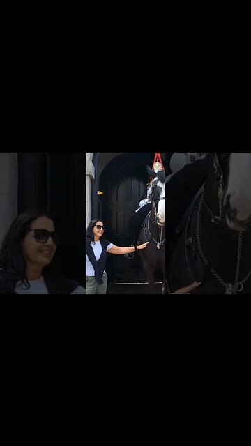 You can touch the Reins he is on orders not to shout #horseguardsparade